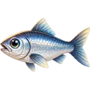 銀色の魚