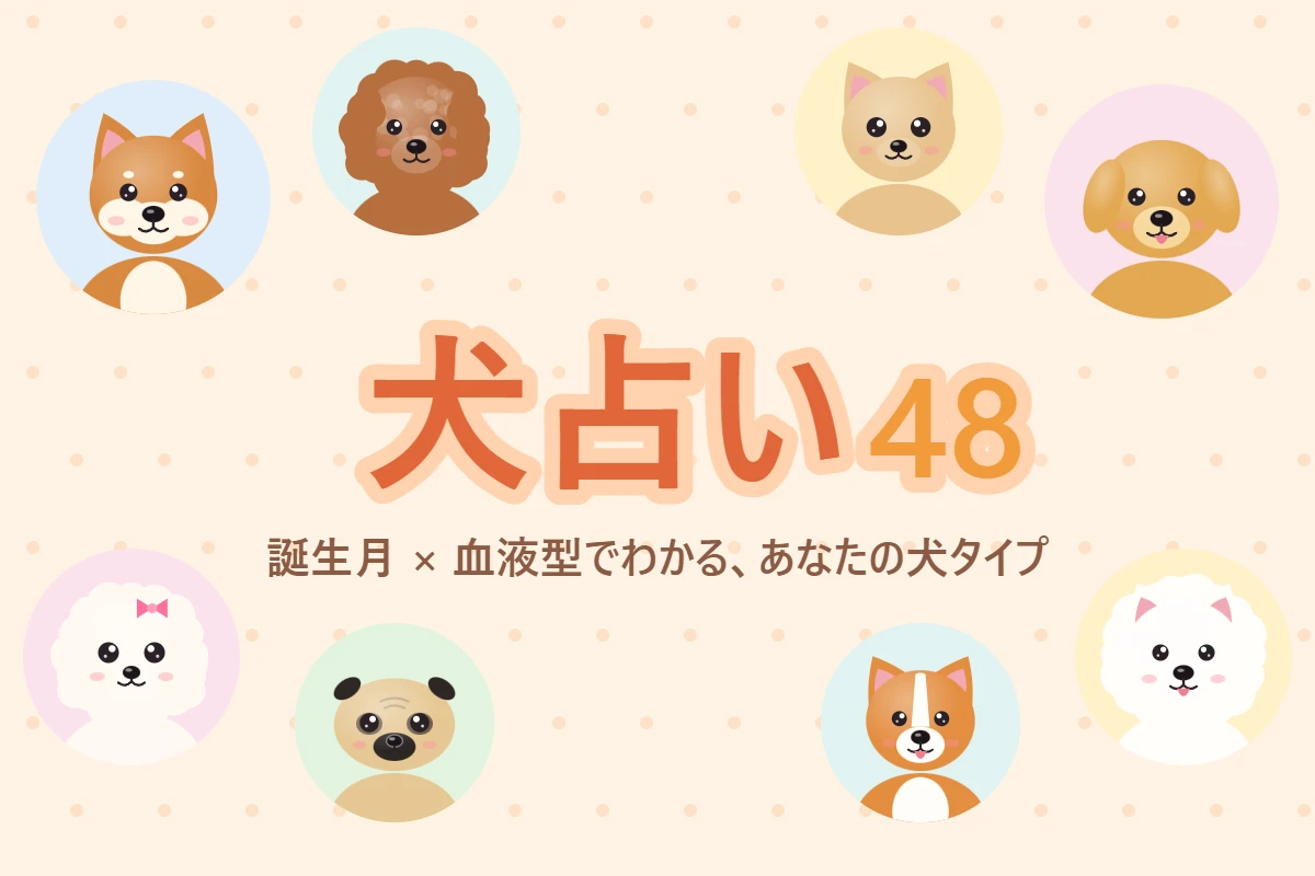 犬占い48